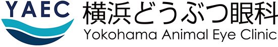 横浜どうぶつ眼科